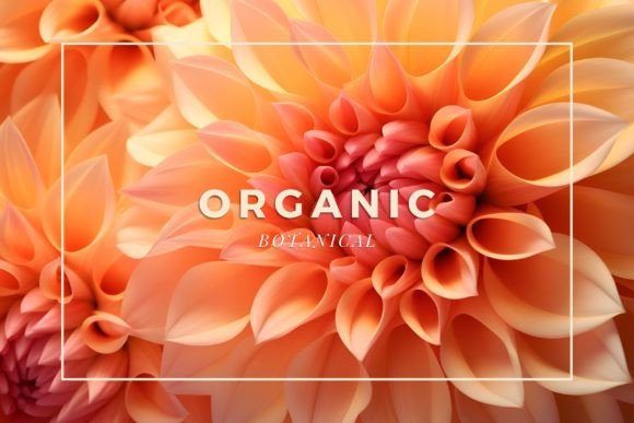 Elevate Your Visuals with 12 Botanical Backgrounds